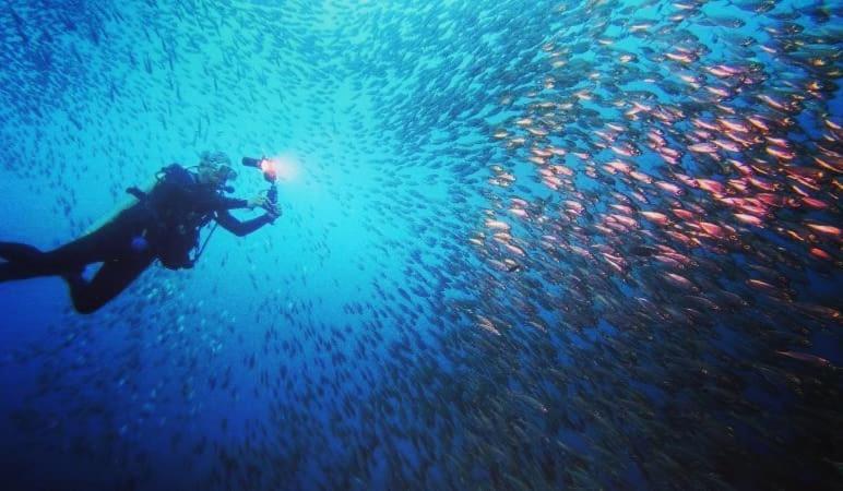 Love'S Beach & Dive Resort Moalboal Bagian luar foto