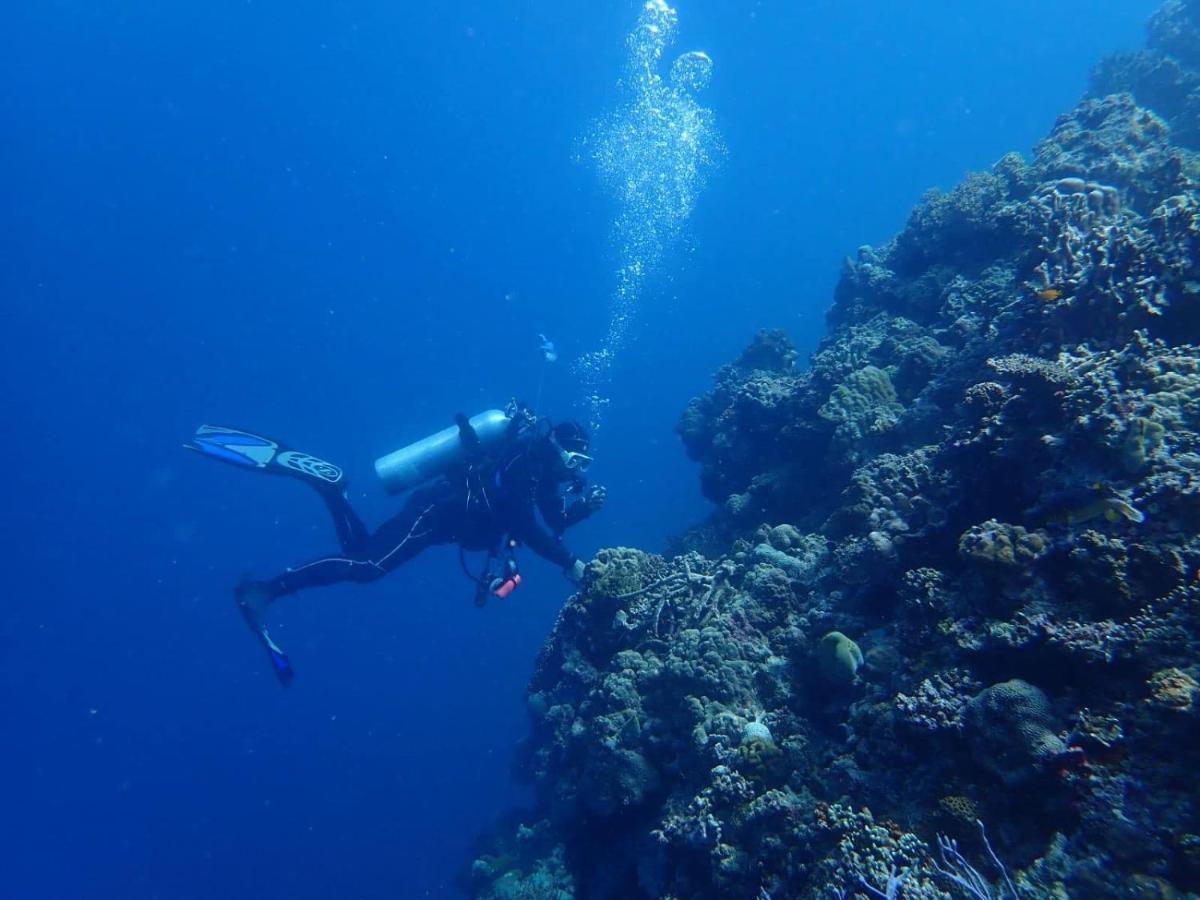 Love'S Beach & Dive Resort Moalboal Bagian luar foto