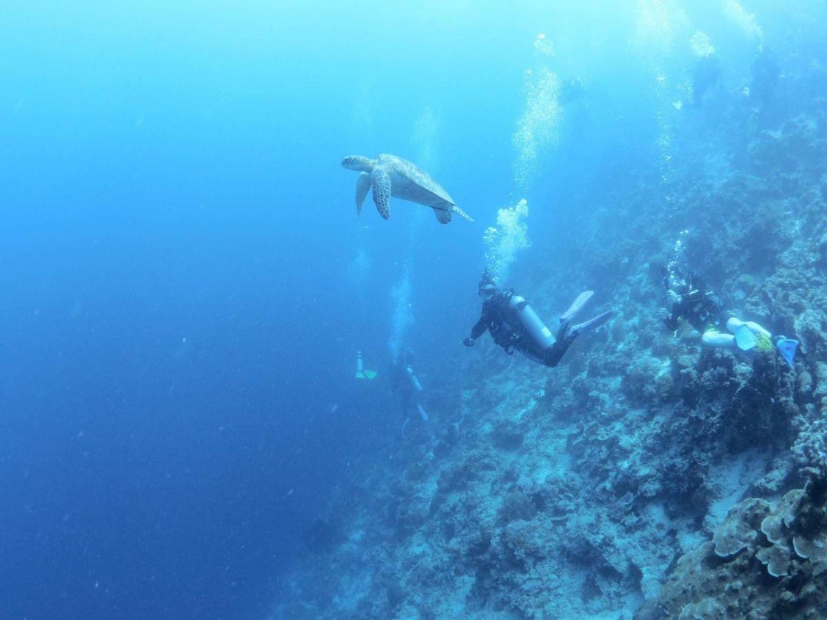 Love'S Beach & Dive Resort Moalboal Bagian luar foto